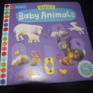 Busy Baby Animals